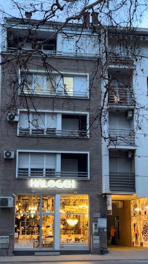 נובי סאד Apartment By The Synagogue מראה חיצוני תמונה
