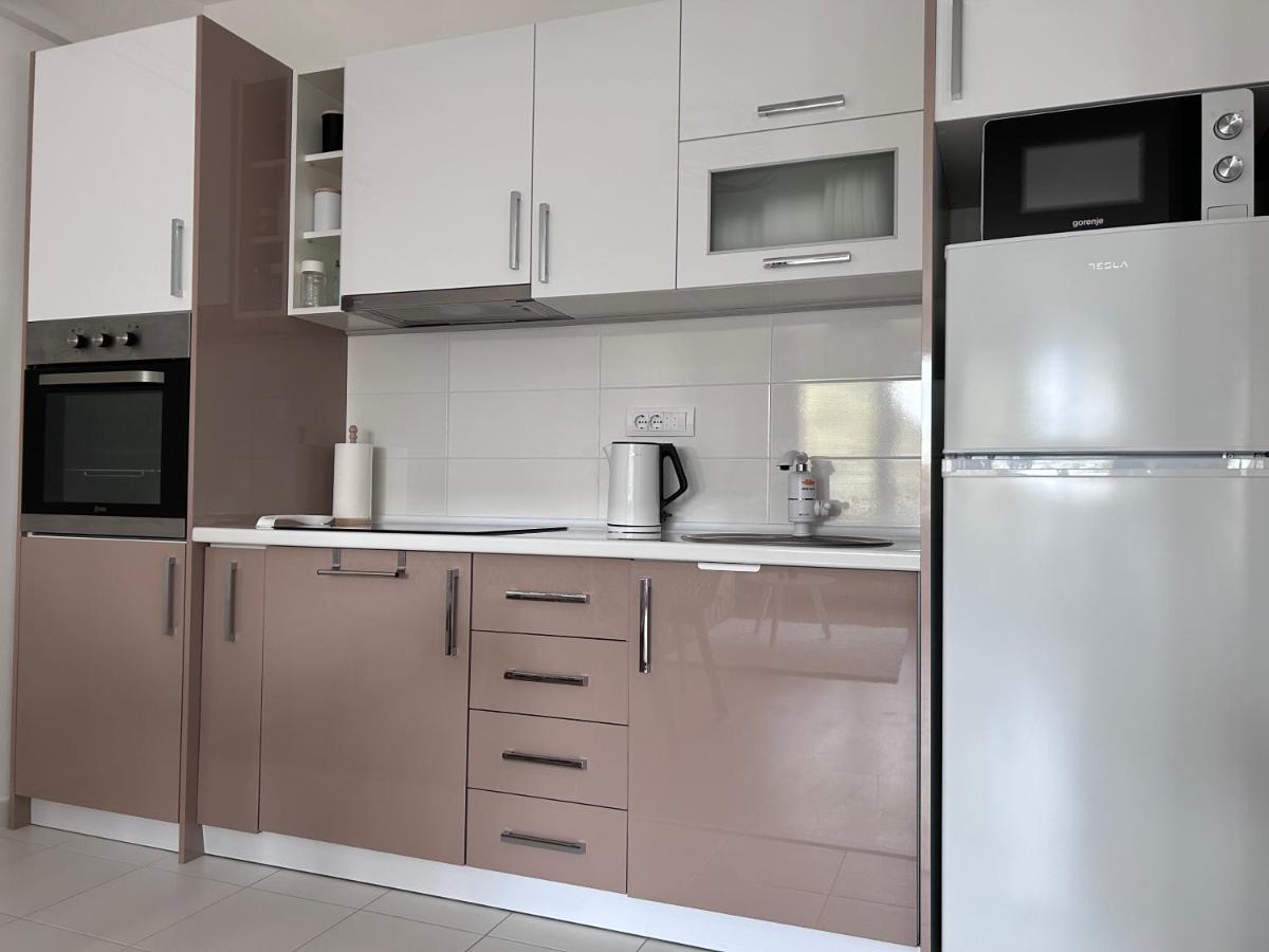 נובי סאד Apartment By The Synagogue מראה חיצוני תמונה