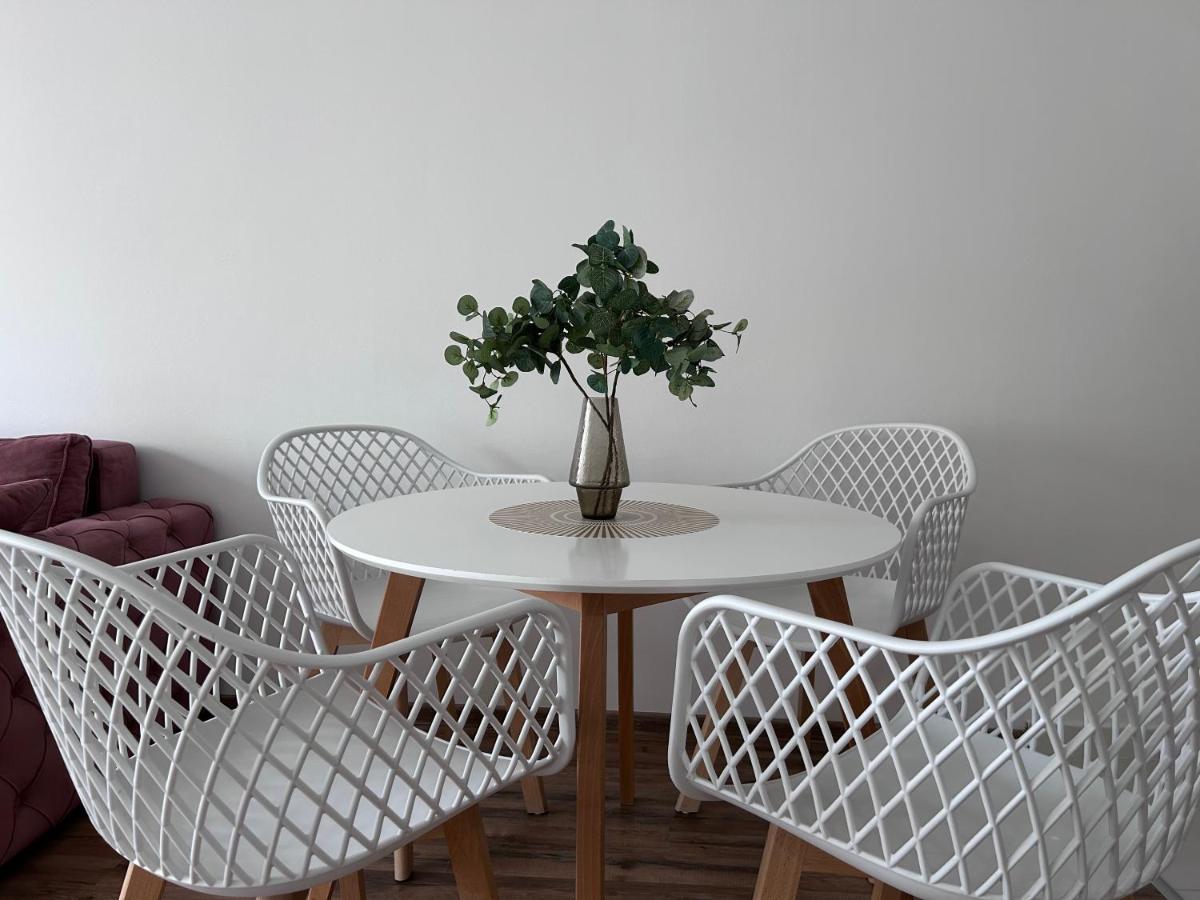 נובי סאד Apartment By The Synagogue מראה חיצוני תמונה